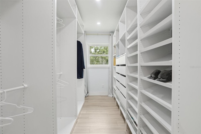 1709 Main St, Safety Harbor, FL 34695 - spacious closet with light wood-type flooring