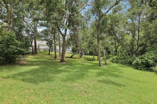 1709 Main St, Safety Harbor, FL 34695 - view of yard