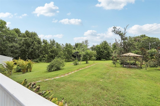 1709 Main St, Safety Harbor, FL 34695 - view of green lawn featuring view of wooded area
