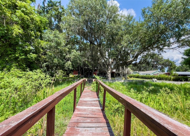 2292 SE 170th Avenue Rd, Silver Springs, FL 34488 - photo 11