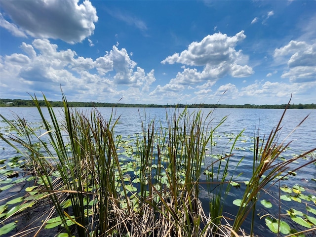 2292 SE 170th Avenue Rd, Silver Springs, FL 34488 - photo 12