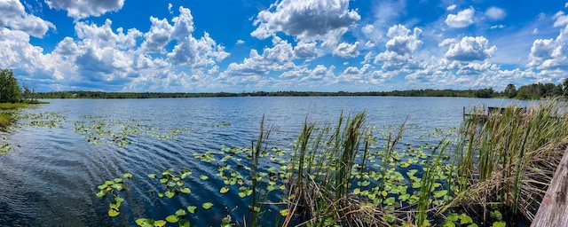 2292 SE 170th Avenue Rd, Silver Springs, FL 34488 - photo 13