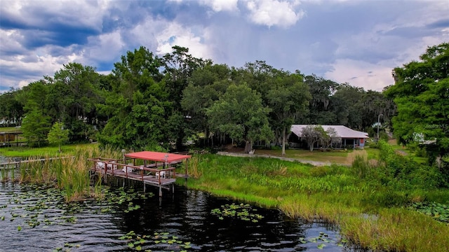 2292 SE 170th Avenue Rd, Silver Springs, FL 34488 - photo 65