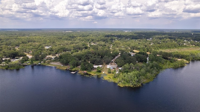 2292 SE 170th Avenue Rd, Silver Springs, FL 34488 - photo 69