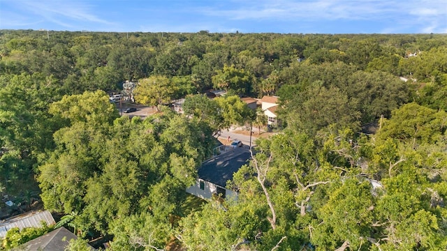8112 N 10th St, Tampa, FL 33604 - bird's eye view of a forest