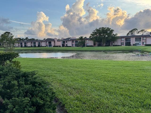 105 Lakeview Way Unit 105, Oldsmar, FL 34677 - photo 26
