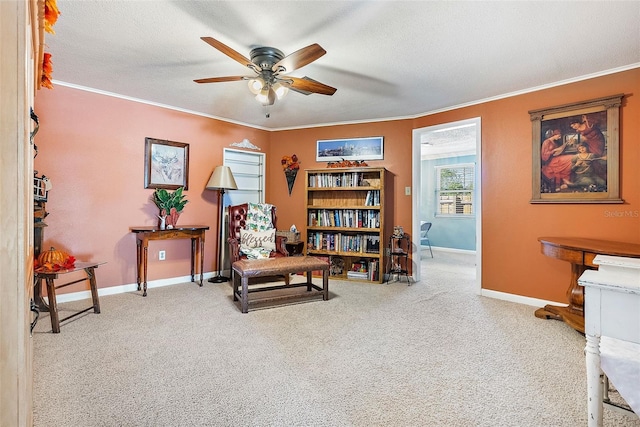 11296 90th Ave, Seminole, FL 33772 - photo 8