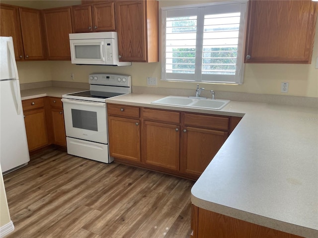 13290 Thoroughbred Loop, Largo, FL 33773 - kitchen with white appliances, brown cabinets, and light wood finished floors