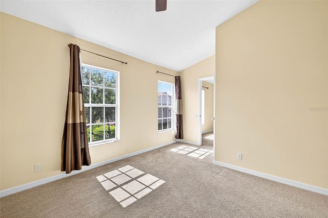13290 Thoroughbred Loop, Largo, FL 33773 - photo 24