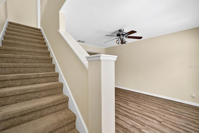13290 Thoroughbred Loop, Largo, FL 33773 - photo 4