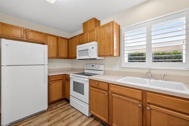 13290 Thoroughbred Loop, Largo, FL 33773 - photo 14