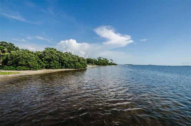 394 Georgia Ave, Crystal Beach, FL 34681 - photo 49