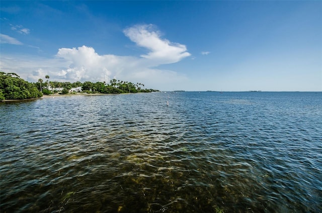 394 Georgia Ave, Crystal Beach, FL 34681 - photo 51