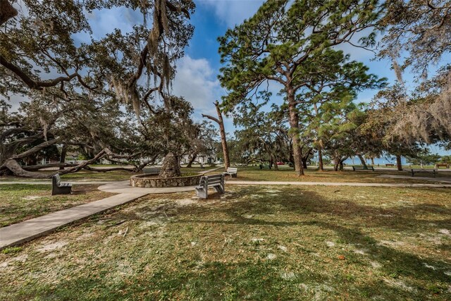 394 Georgia Ave, Crystal Beach, FL 34681 - photo 57