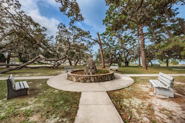 394 Georgia Ave, Crystal Beach, FL 34681 - photo 59