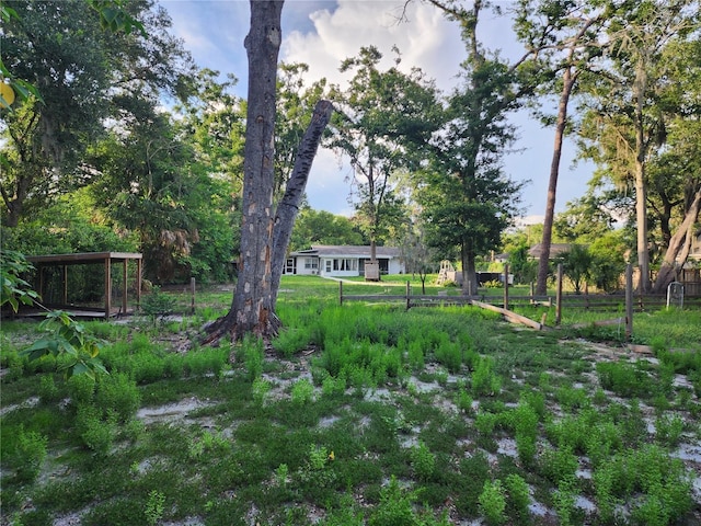 11107 Riverview Dr, Riverview, FL 33578 - view of yard