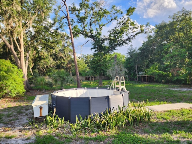11107 Riverview Dr, Riverview, FL 33578 - view of yard featuring view of wooded area and an outdoor pool