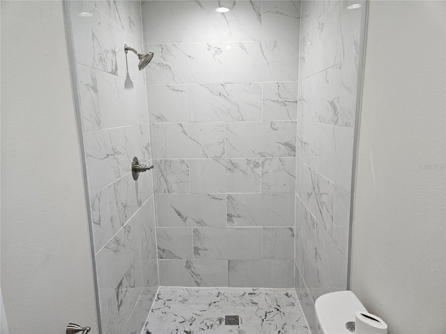 11210 Mcmullen Rd, Riverview, FL 33569 - bathroom with tiled shower and toilet