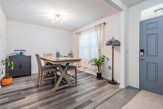 30989 Summer Sun Loop, Wesley Chapel, FL 33545 - dining space with wood finished floors and baseboards