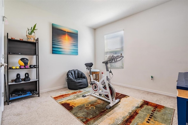 30989 Summer Sun Loop, Wesley Chapel, FL 33545 - workout area with carpet floors and baseboards