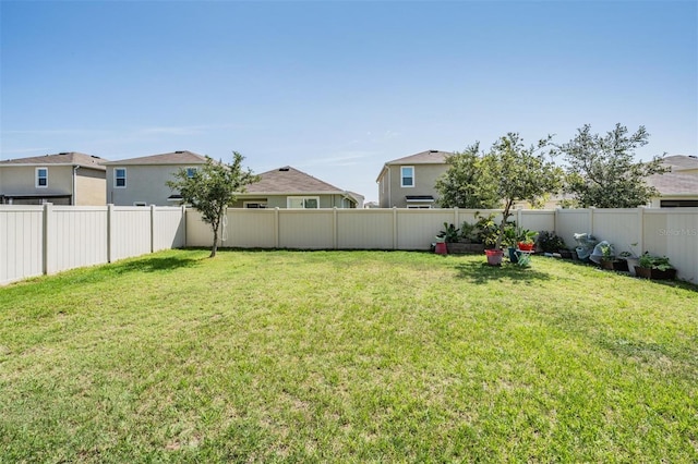 30989 Summer Sun Loop, Wesley Chapel, FL 33545 - view of yard