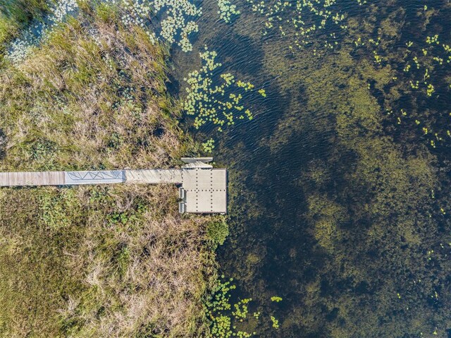 30989 Summer Sun Loop, Wesley Chapel, FL 33545 - bird's eye view