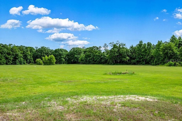 19862 NW 43rd Pl, Starke, FL 32091 - photo 37