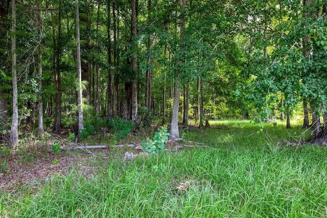 19862 NW 43rd Pl, Starke, FL 32091 - photo 38