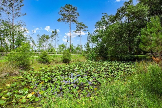 19862 NW 43rd Pl, Starke, FL 32091 - photo 39