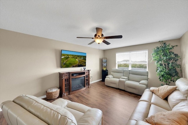 11904 Greenchop Pl, Riverview, FL 33579 - living area with ceiling fan, wood finished floors, and baseboards