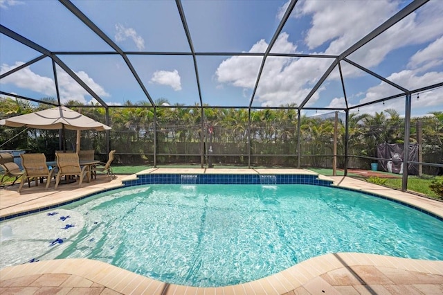 11904 Greenchop Pl, Riverview, FL 33579 - swimming pool featuring a patio area and glass enclosure