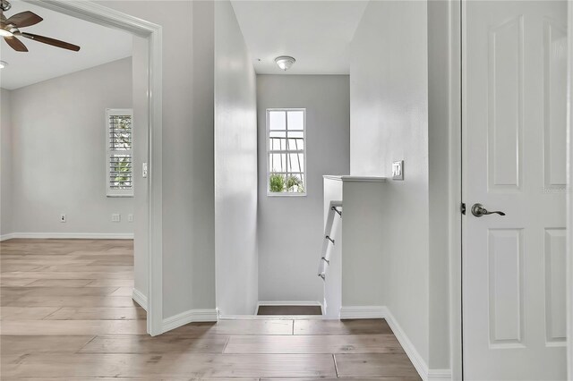 1402 Harbour Walk Rd, Tampa, FL 33602 - foyer with ceiling fan, hardwood / wood-style floors, and baseboards