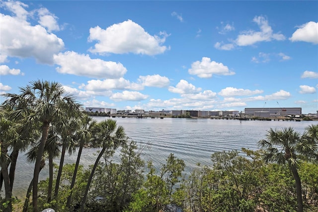1402 Harbour Walk Rd, Tampa, FL 33602 - water view