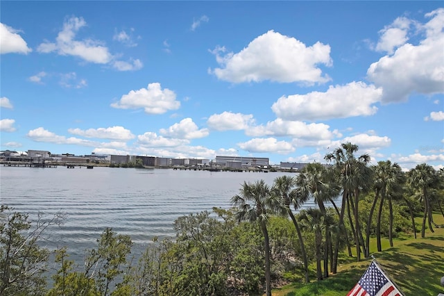 1402 Harbour Walk Rd, Tampa, FL 33602 - water view