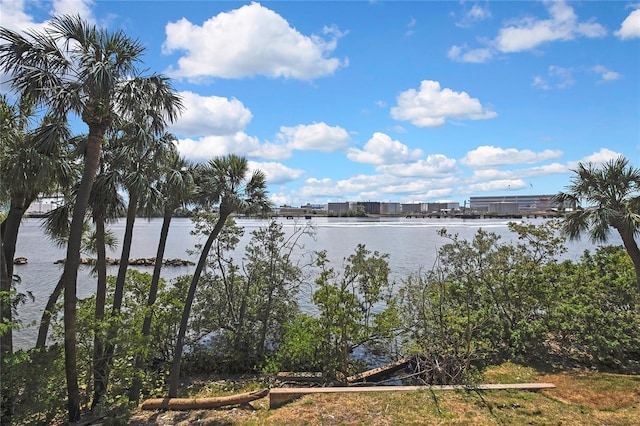 1402 Harbour Walk Rd, Tampa, FL 33602 - water view
