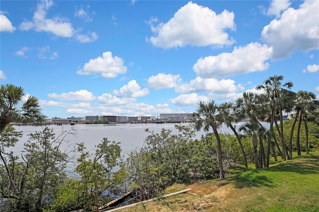 1402 Harbour Walk Rd, Tampa, FL 33602 - water view