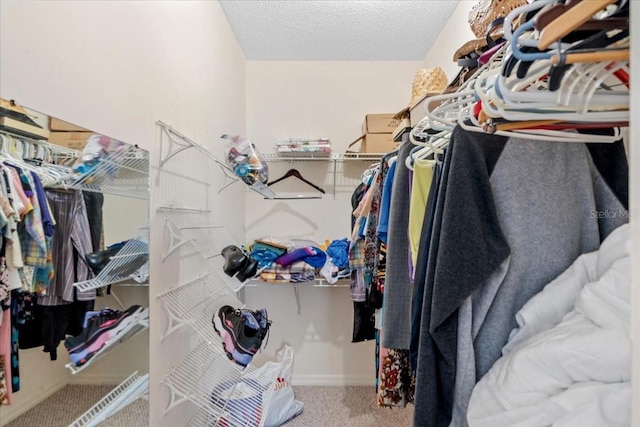2214 Highclere Cir Unit 6, Sun City Center, FL 33573 - spacious closet featuring carpet