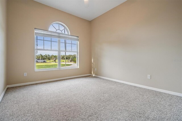 6411 Barton Rd, Plant City, FL 33565 - photo 18