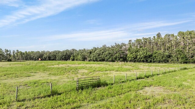 6411 Barton Rd, Plant City, FL 33565 - photo 41