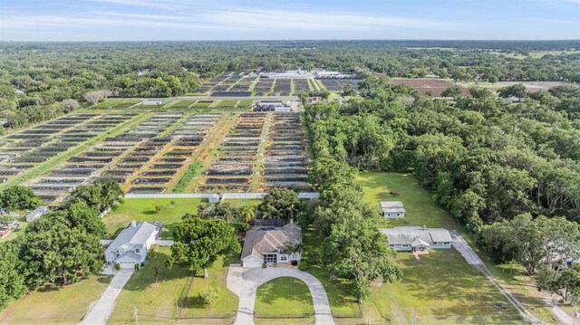 6411 Barton Rd, Plant City, FL 33565 - photo 42