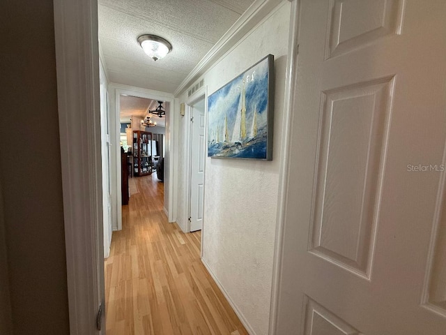 12021 Club House Rd, Brooksville, FL 34613 - corridor with light wood finished floors, ornamental molding, a textured ceiling, baseboards, and a textured wall