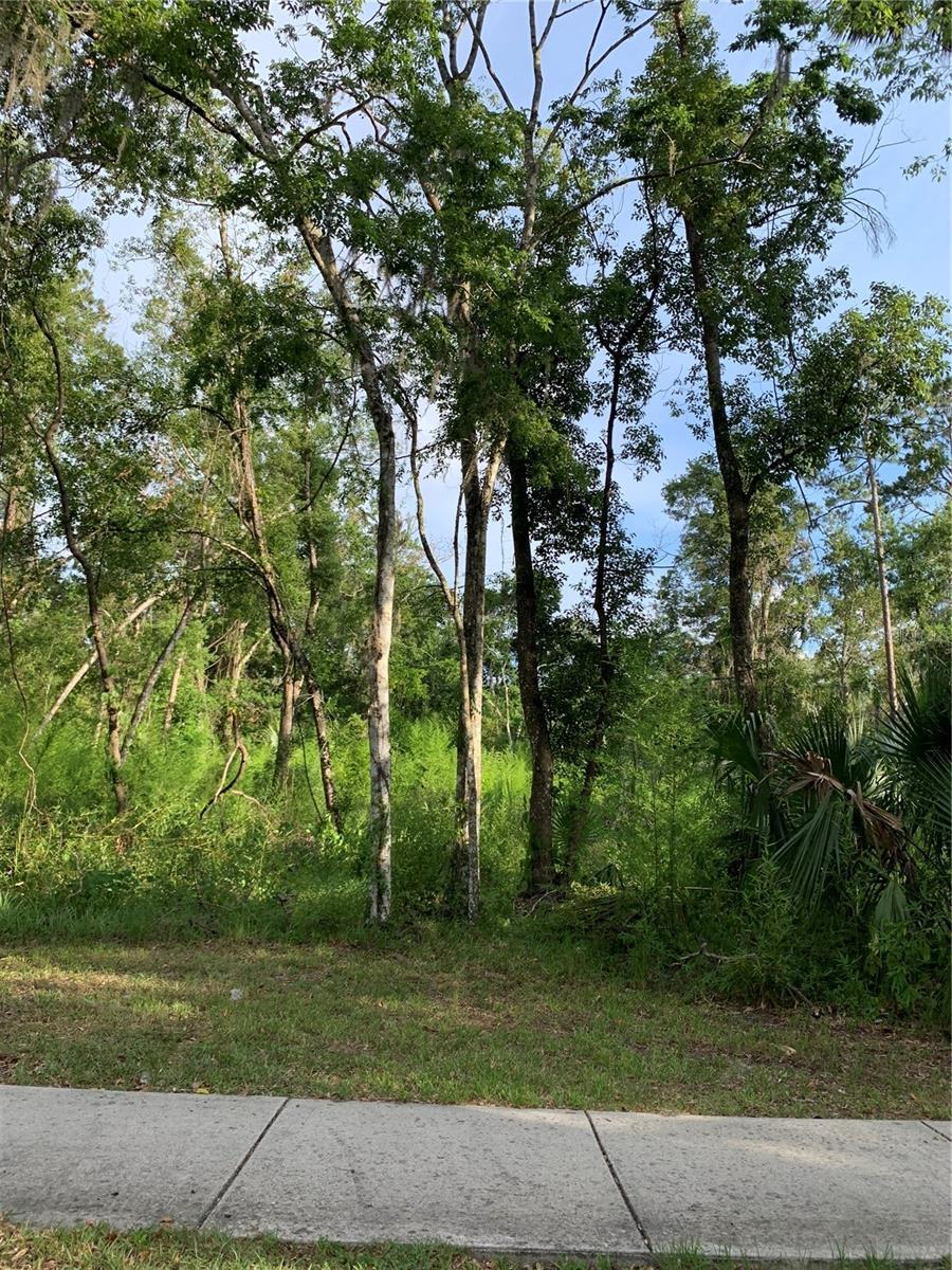 625 W Dr M L King Jr Blvd, Brooksville, FL 34601 - photo 1