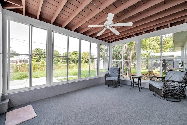 3100 70th St N, Saint Petersburg, FL 33710 - photo 22