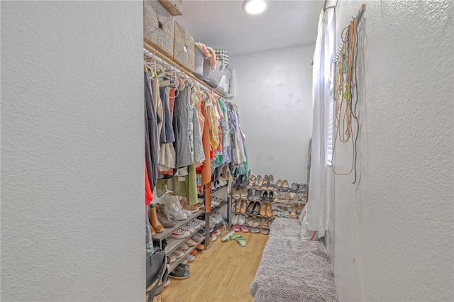 1807 Split Fork Dr, Oldsmar, FL 34677 - spacious closet with wood finished floors