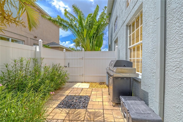 1807 Split Fork Dr, Oldsmar, FL 34677 - view of patio with area for grilling and a gate