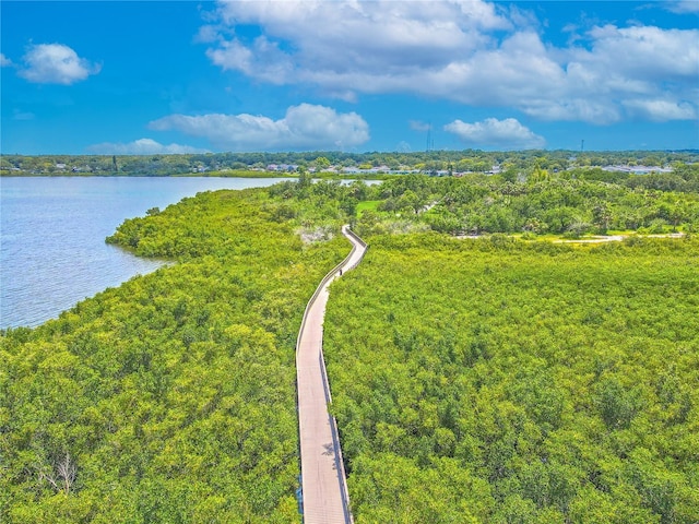 1807 Split Fork Dr, Oldsmar, FL 34677 - aerial view of a nearby body of water