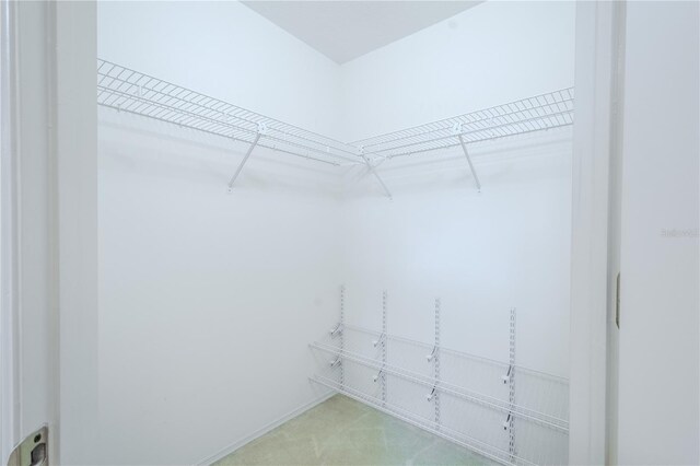 1838 Eagle Ridge Blvd, Palm Harbor, FL 34685 - view of spacious closet
