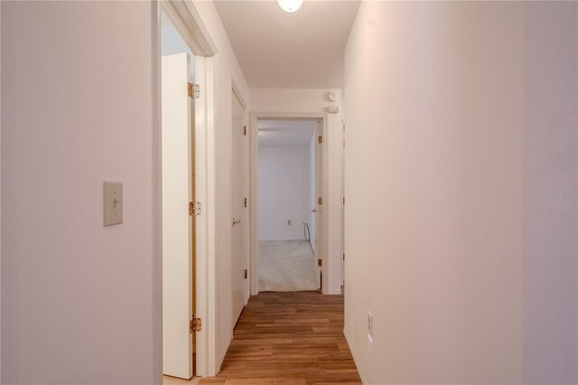 1838 Eagle Ridge Blvd, Palm Harbor, FL 34685 - hall featuring light wood finished floors