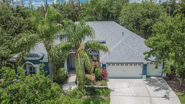27440 Cedar Park Ct, Wesley Chapel, FL 33544 - view of front facade featuring roof with shingles, an attached garage, and driveway