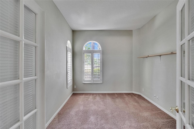27440 Cedar Park Ct, Wesley Chapel, FL 33544 - empty room featuring carpet flooring, a textured ceiling, and baseboards